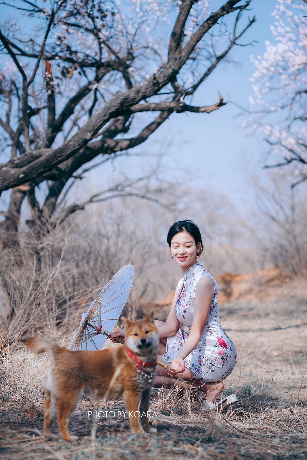 #版主坐堂#索尼大版星空(中国)2022年3月份优秀作品精选汇总