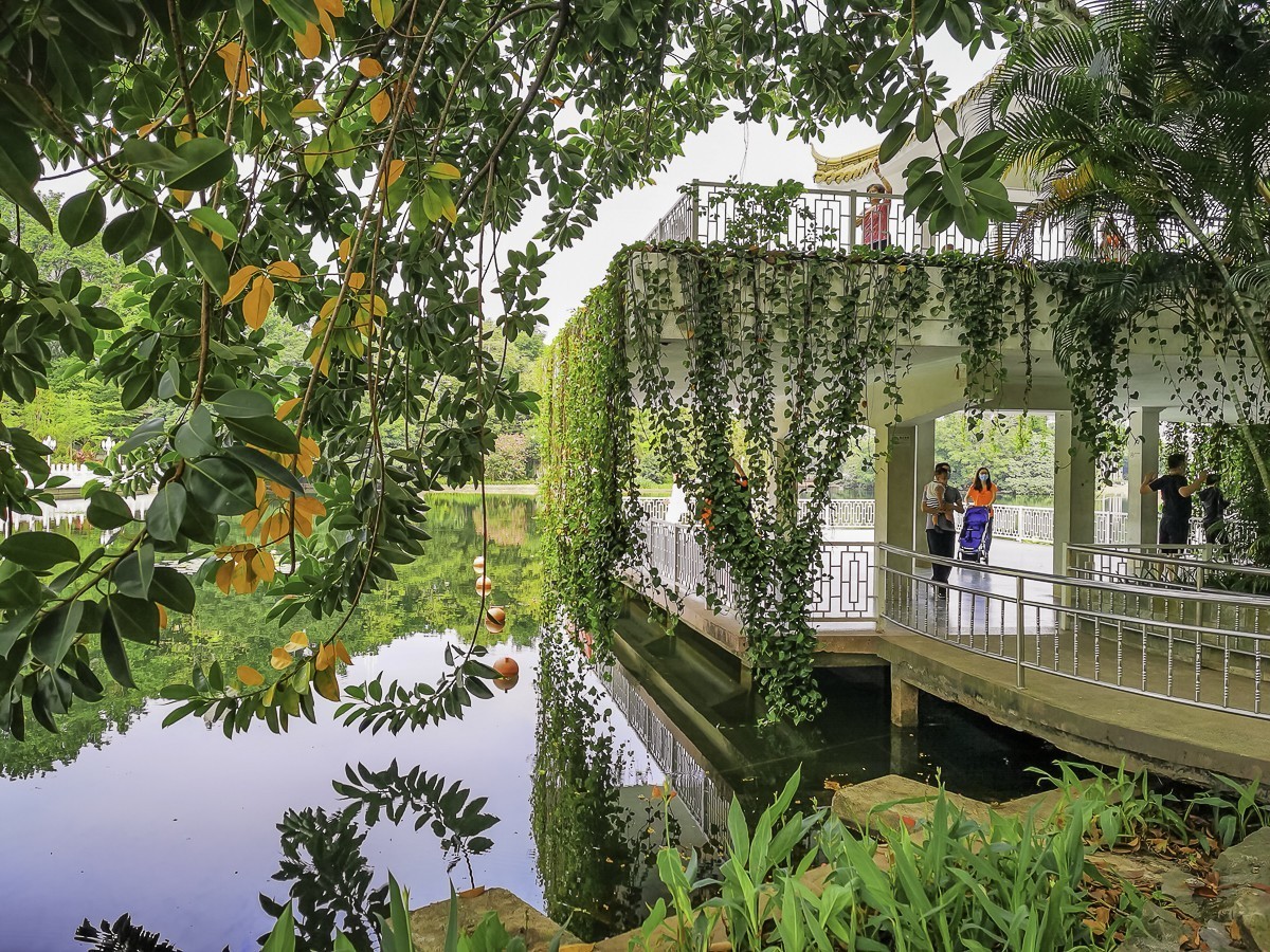 深圳荔枝公园 ~ 掠影