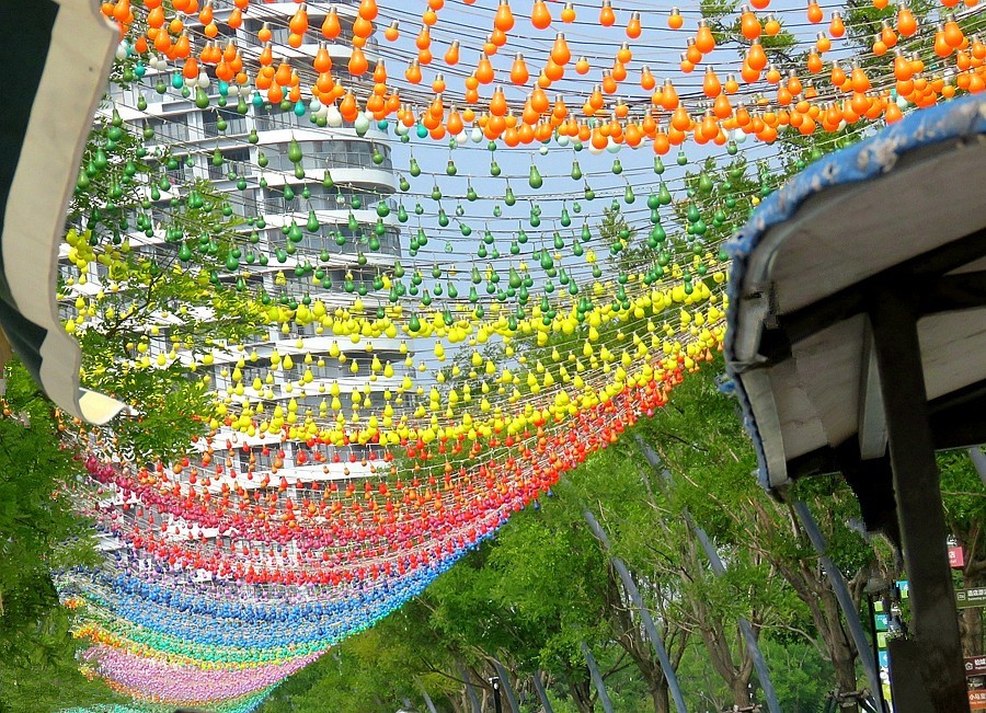 063【不老松：东戴河游纪】东戴诃金沙滩海滨 (14)