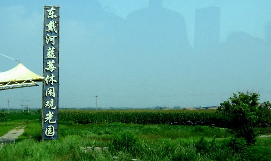 063【不老松：东戴河游纪】东戴诃金沙滩海滨 (14)