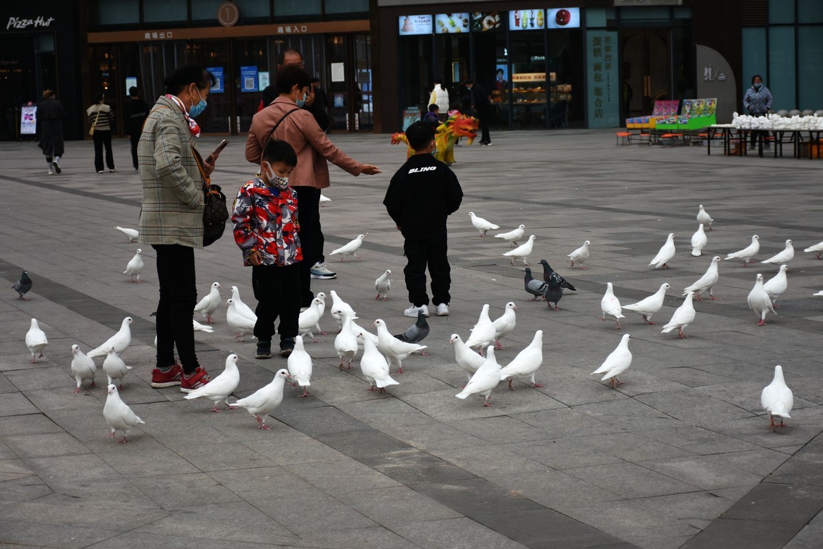 下班途中随手拍