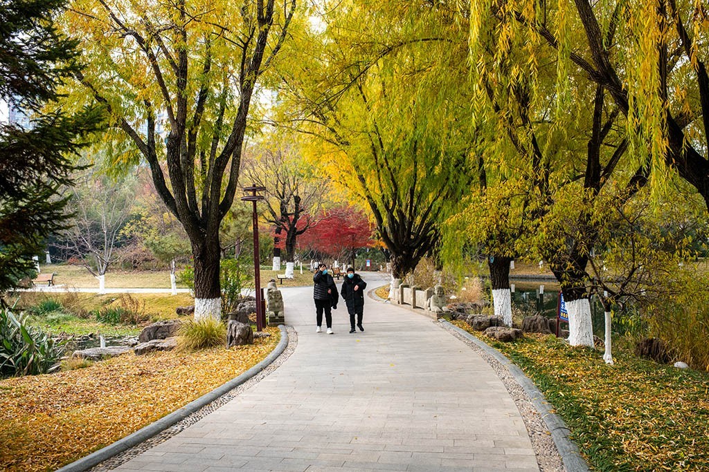 临沂五洲湖冬日美景