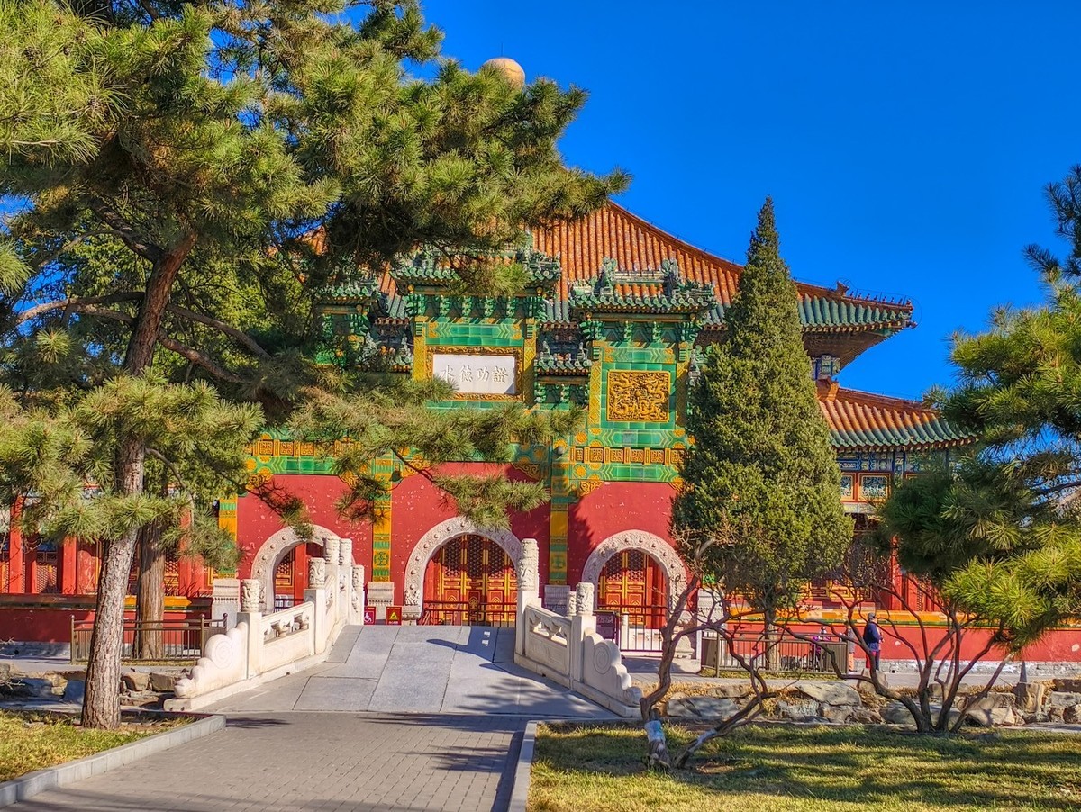 山桃花开（上）