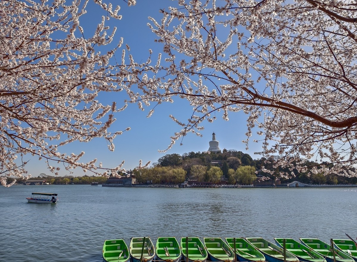 山桃花开（上）