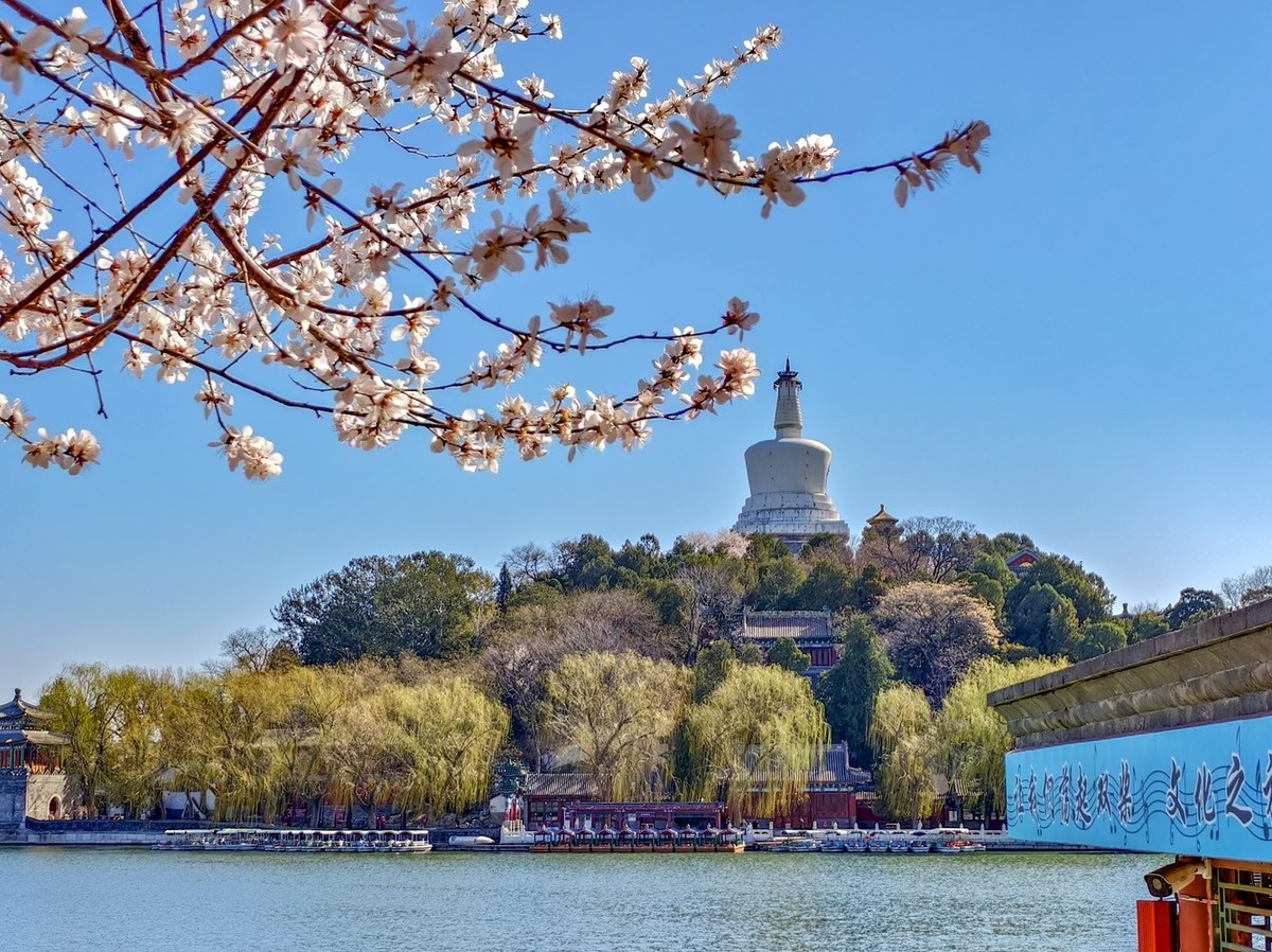 山桃花开（上）