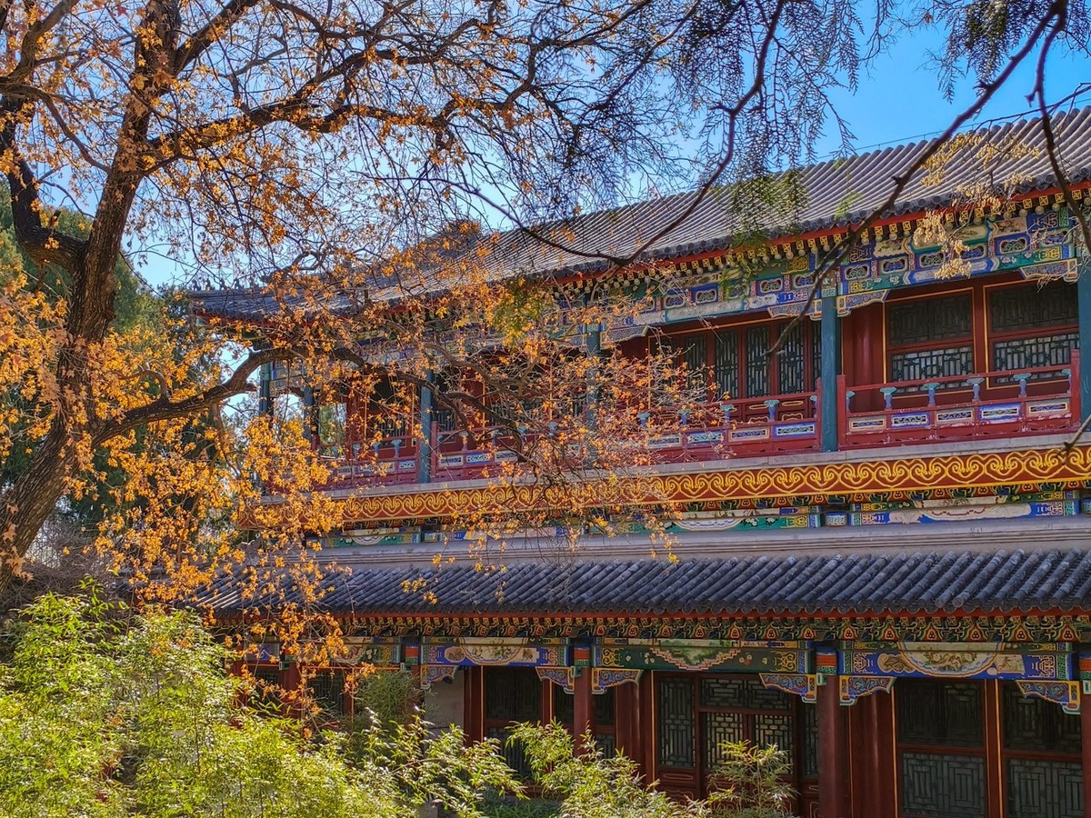 山桃花开（上）