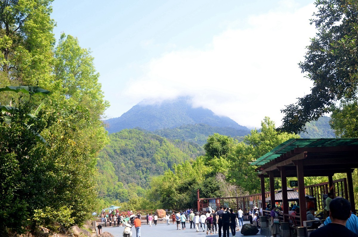 海南 五指山(二)