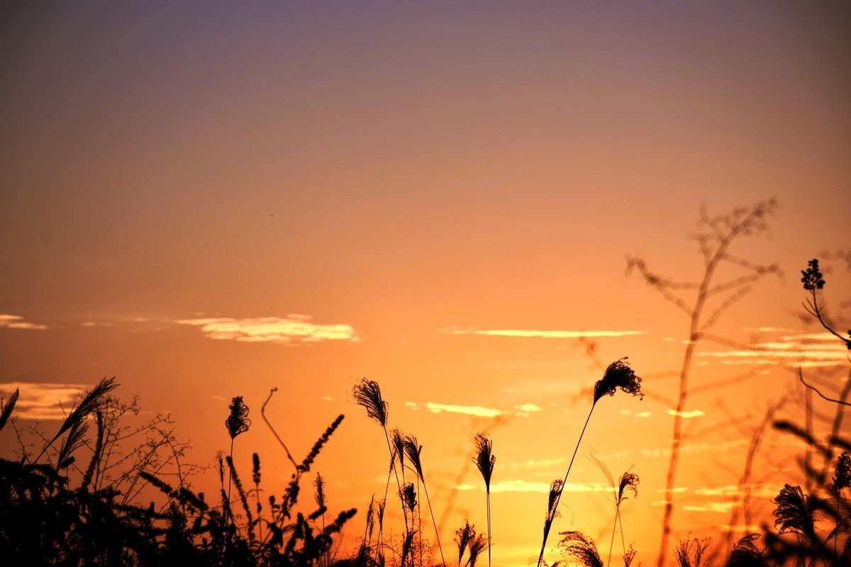 漫步星城 走街串巷（410）木材厂风云