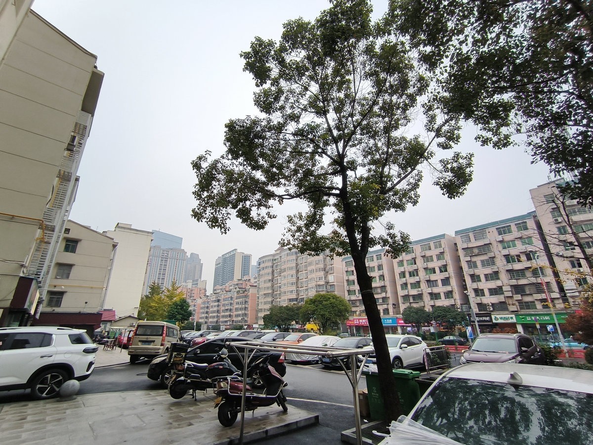 漫步星城 走街串巷（410）木材厂风云