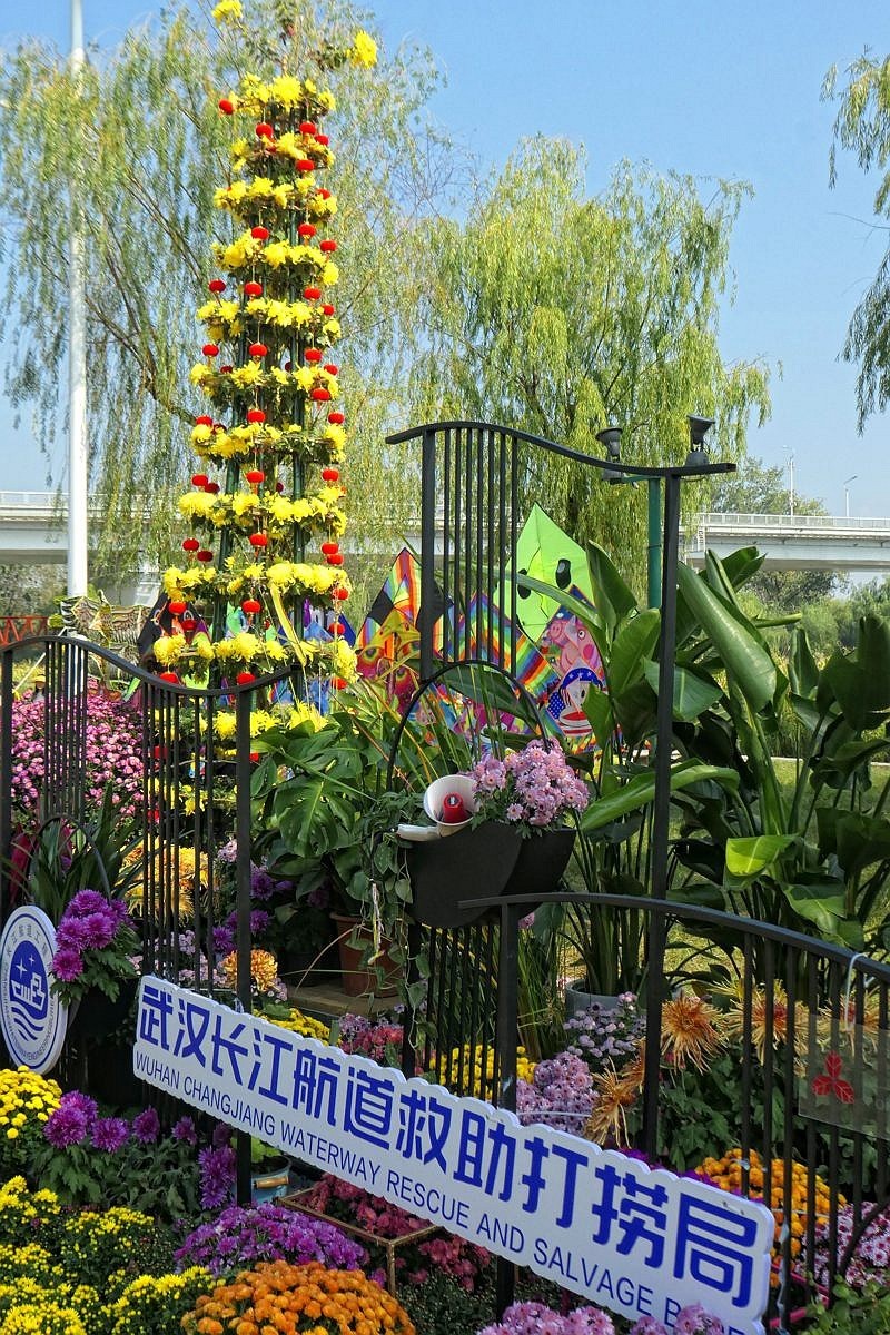 武汉江滩菊花展三