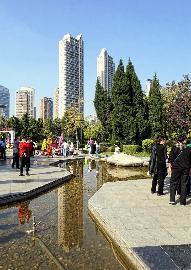 武汉江滩菊花展三