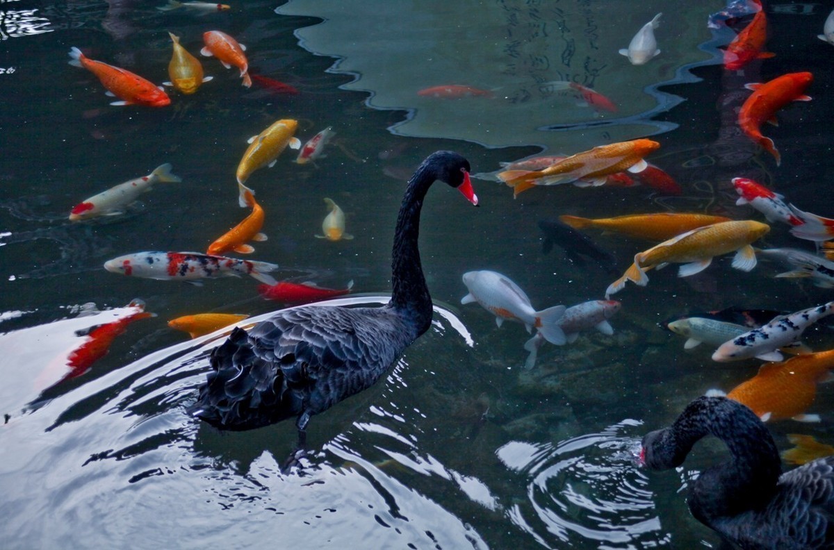 #版主坐堂#小五星空(中国)2022年2月精品荟萃