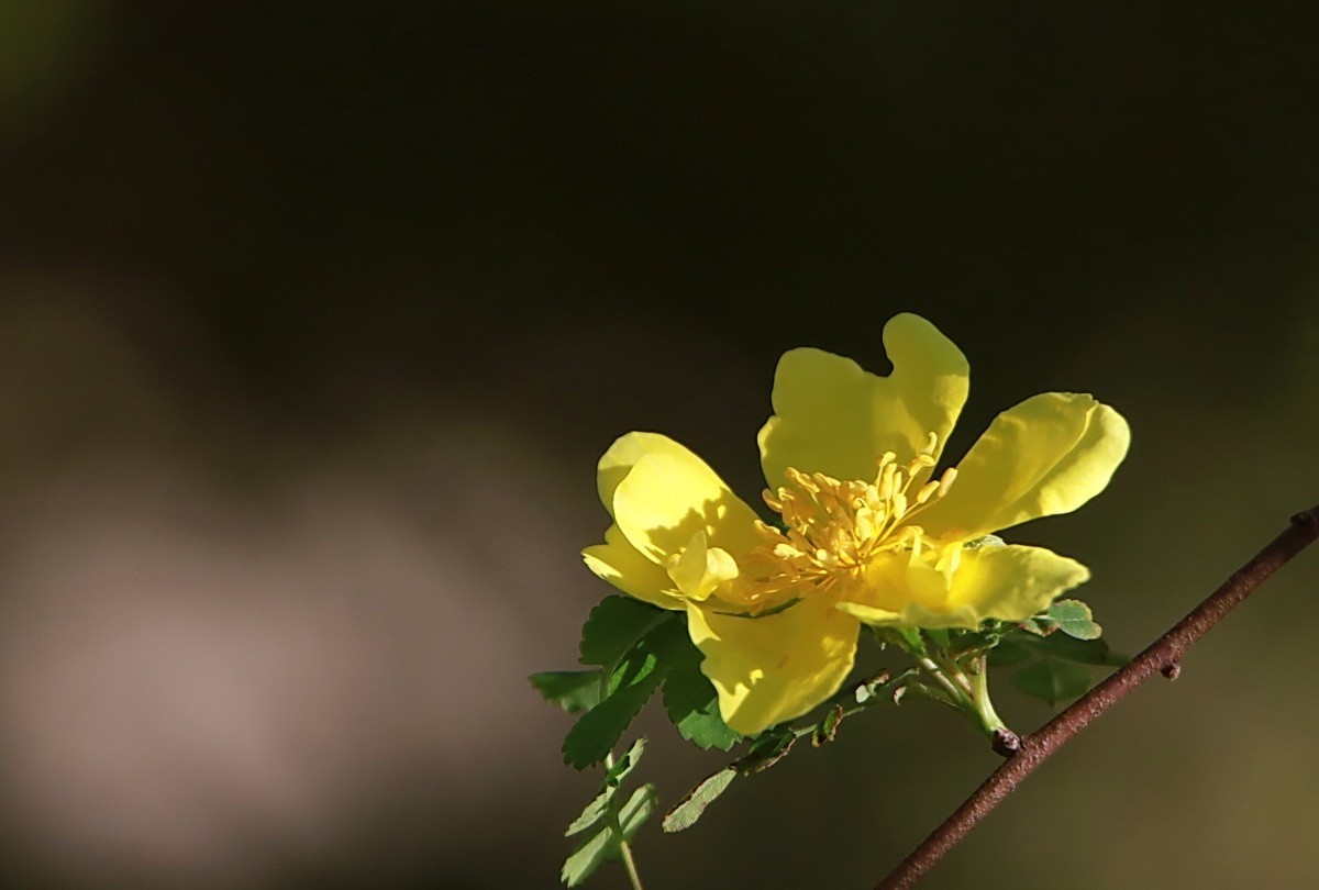 #版主坐堂#小五星空(中国)2022年2月精品荟萃