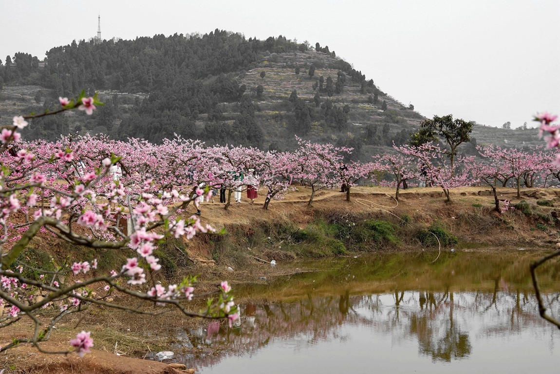 春日探访成都龙泉桃花沟【6】续完
