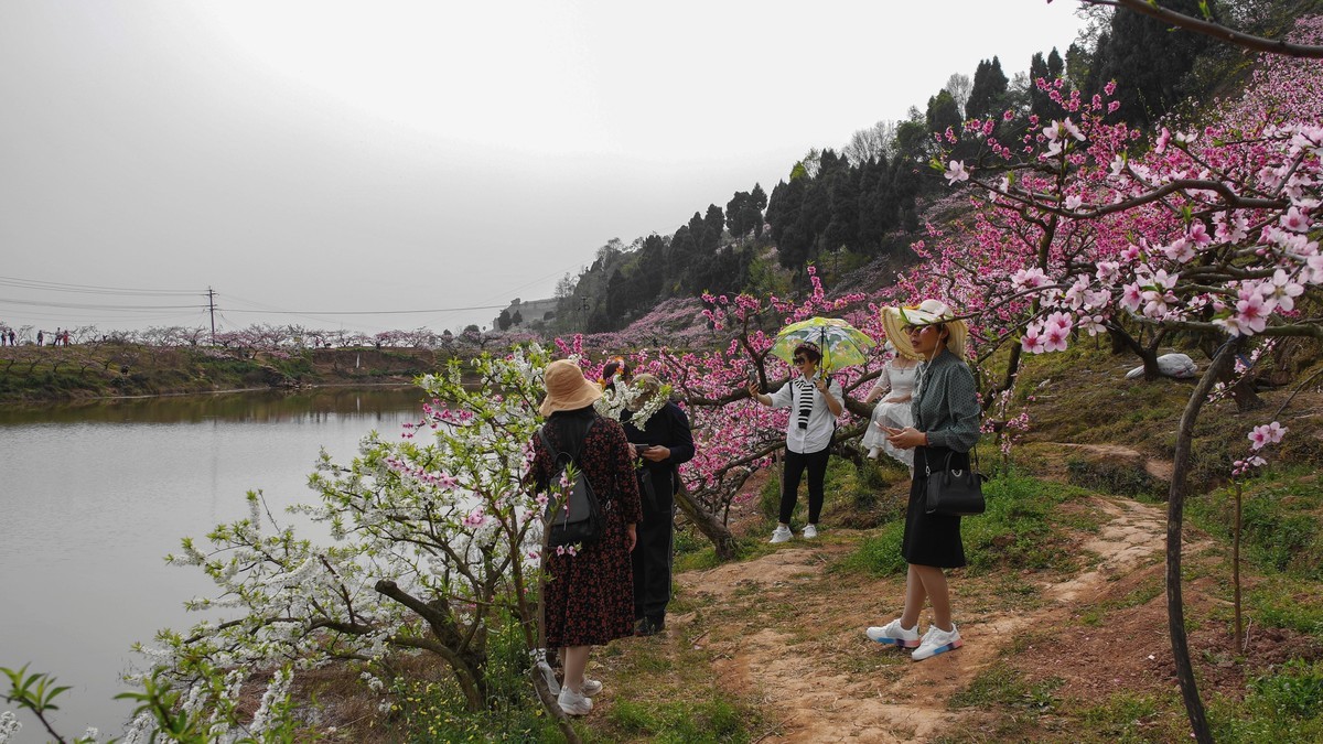 春日探访成都龙泉桃花沟【6】续完