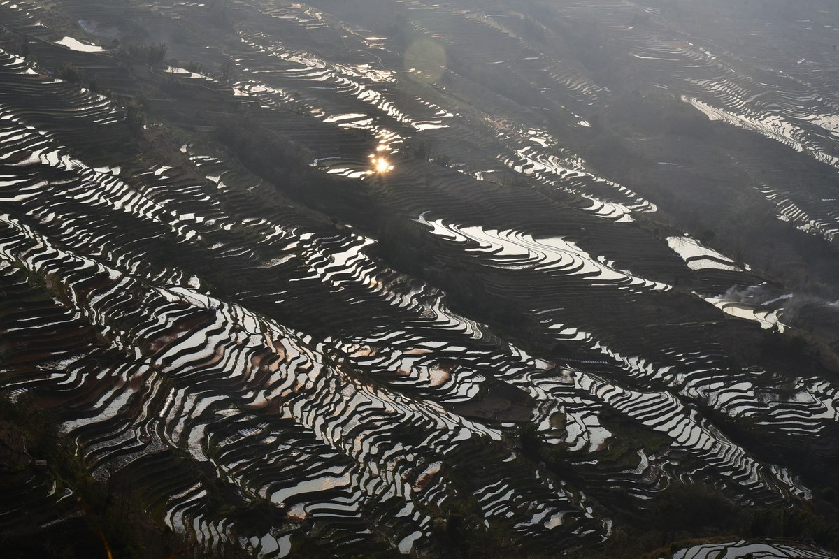 元阳梯田 2
