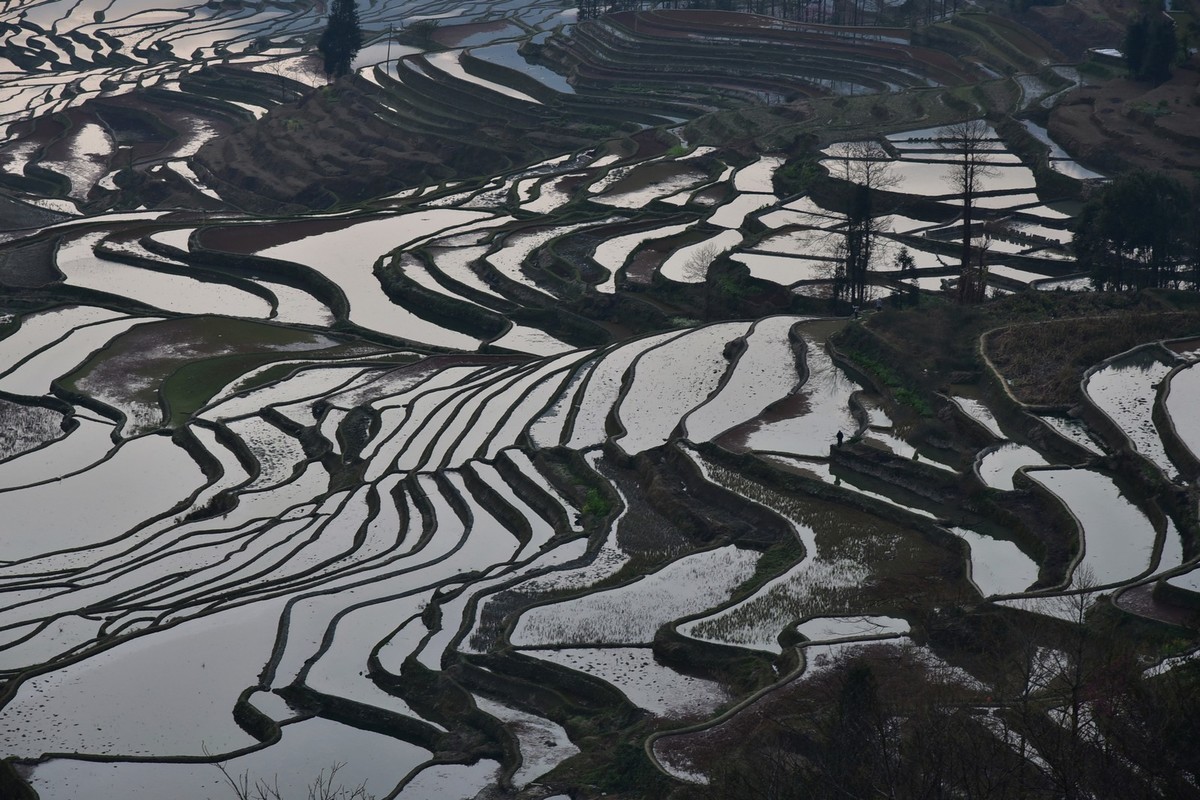 元阳梯田 2