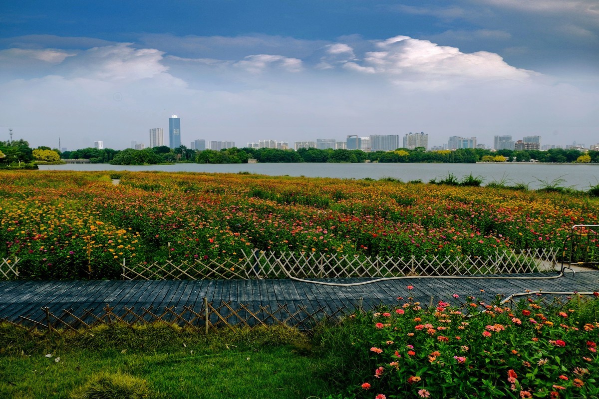 海珠湖公园（一）