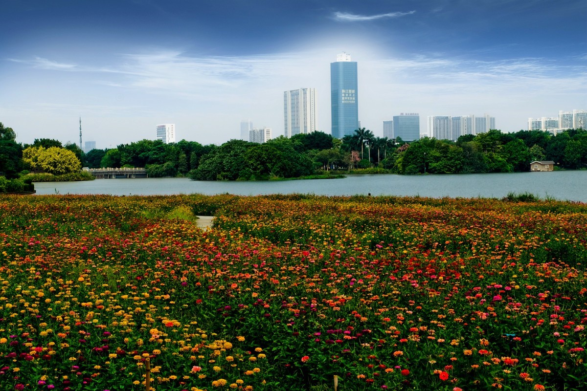 海珠湖公园（一）