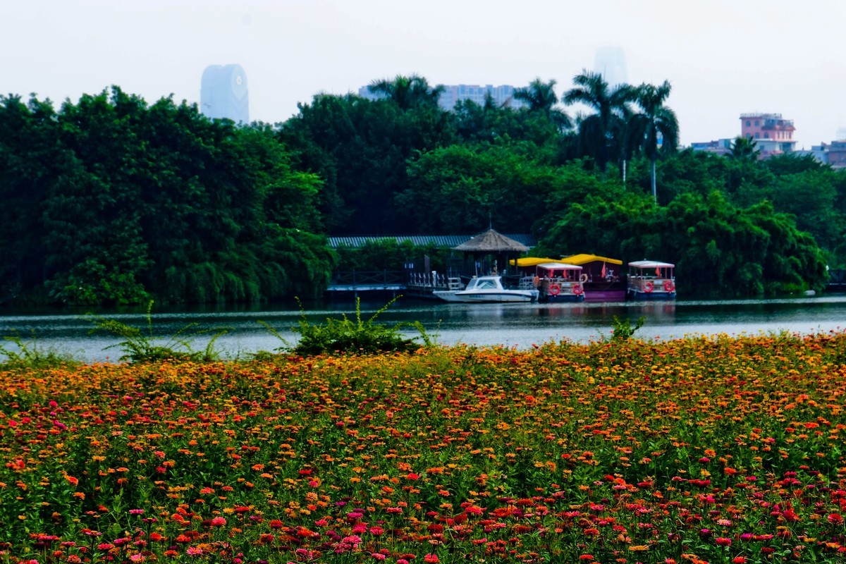 海珠湖公园（一）