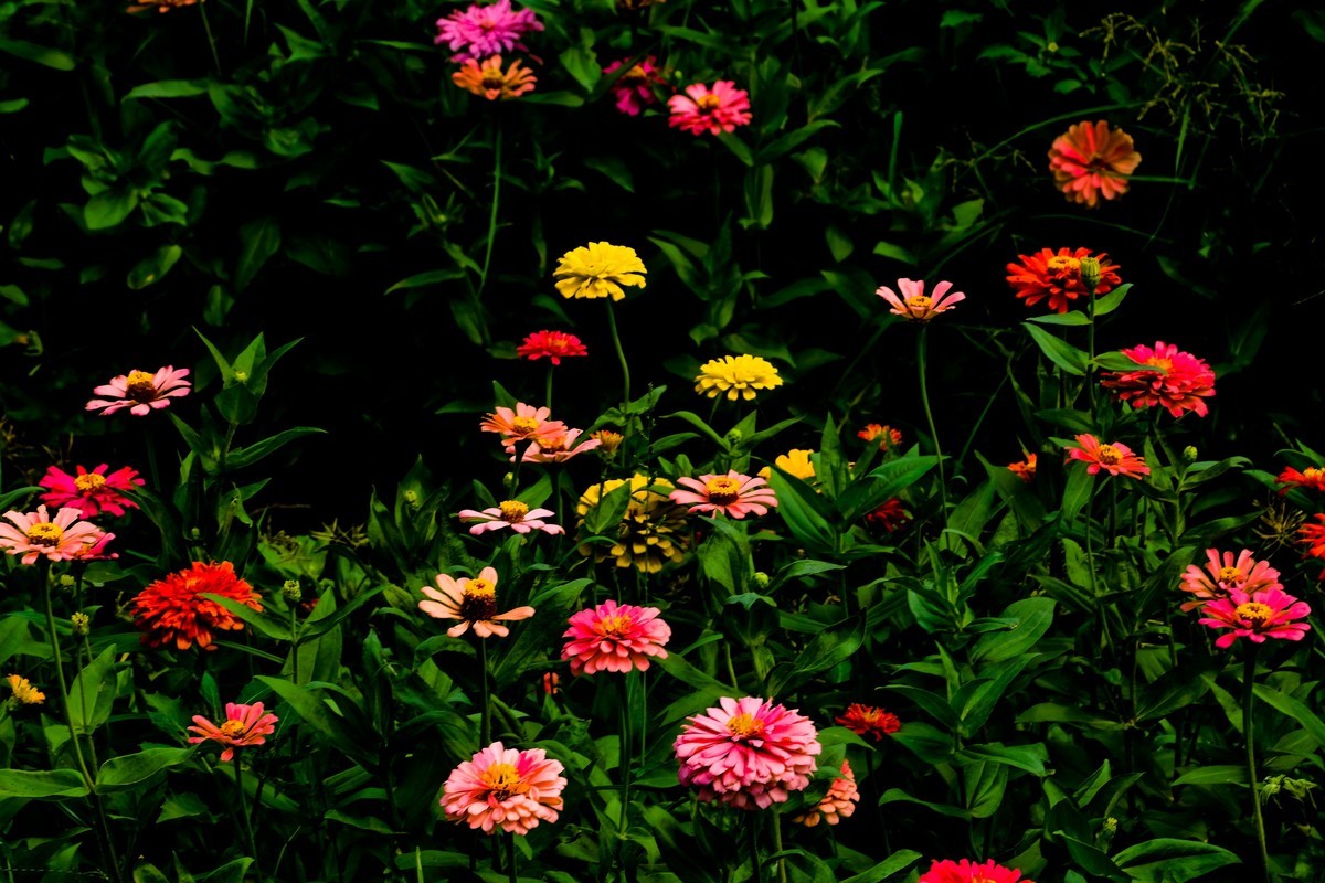 海珠湖公园（一）