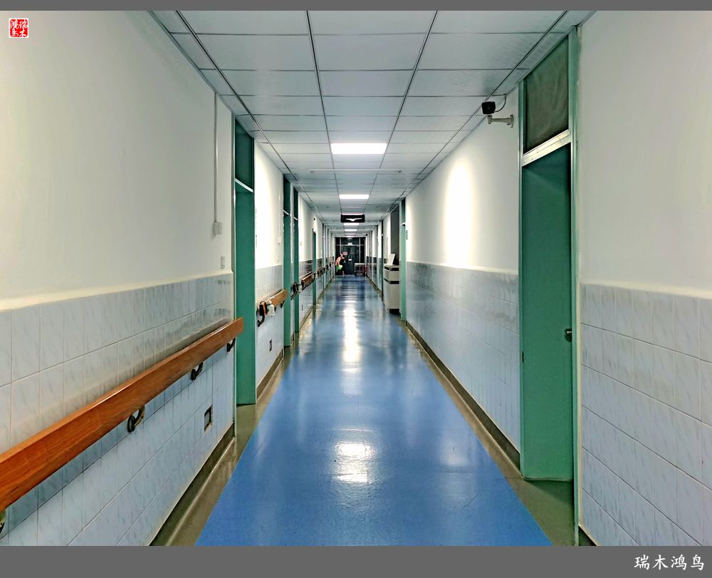 【手机随拍】解放军九八四医院掠影