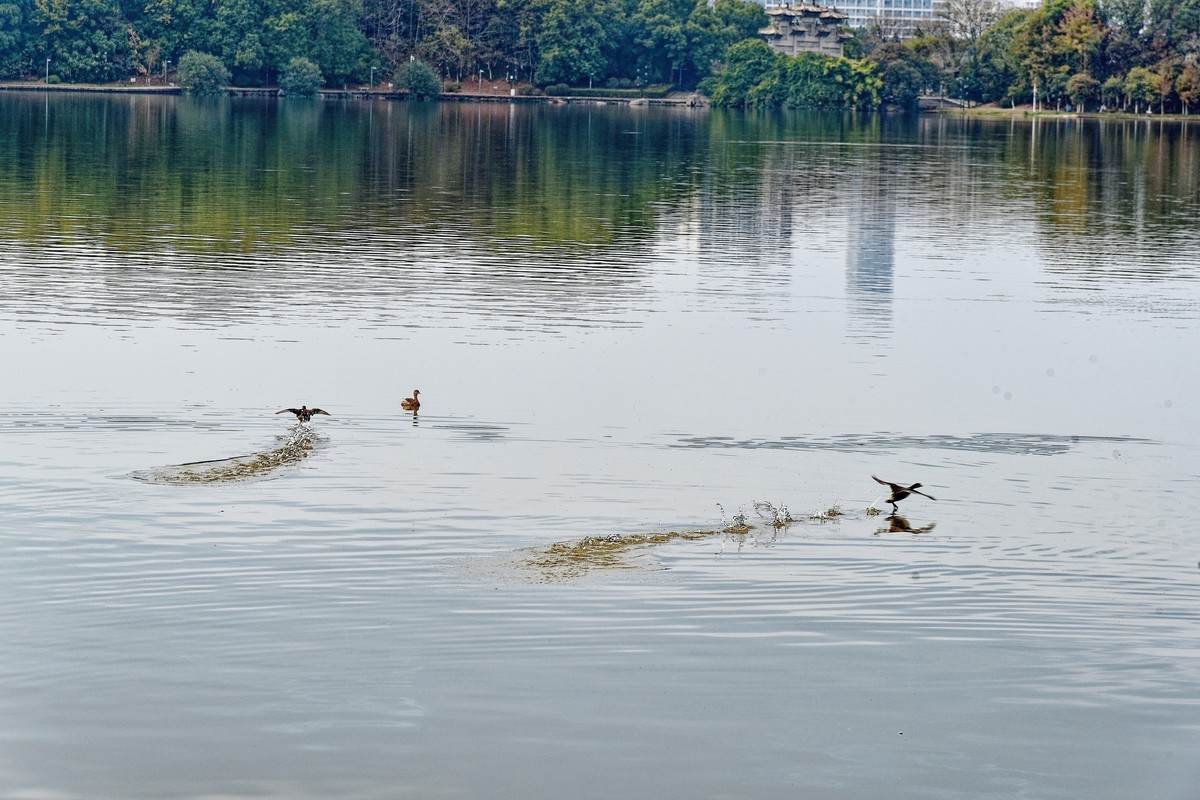 2022年入国军尼康D750首发