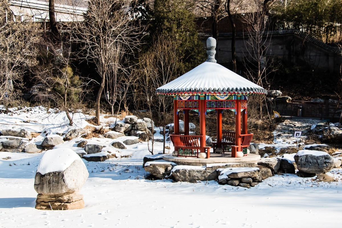 【镜头里】第1388号：2023春节·北京八大处公园随拍（一）