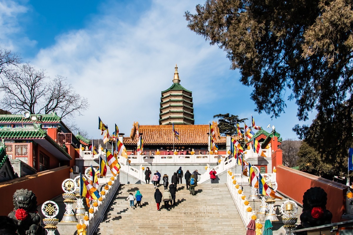 【镜头里】第1388号：2023春节·北京八大处公园随拍（一）