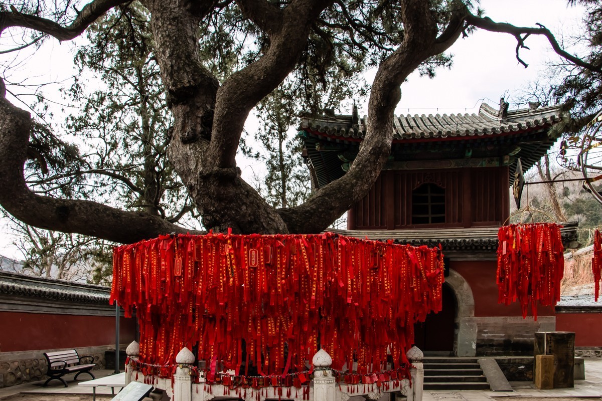 【镜头里】第1388号：2023春节·北京八大处公园随拍（一）