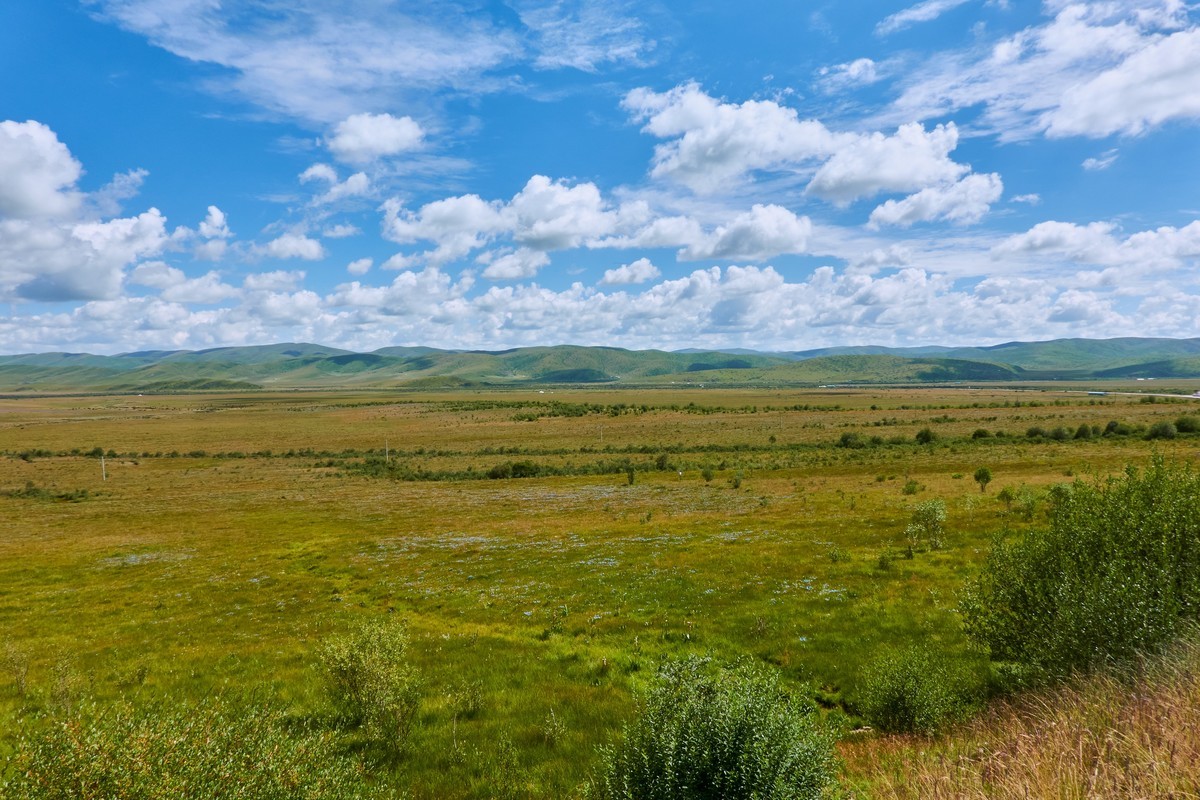 美丽的红原和桑科大草原