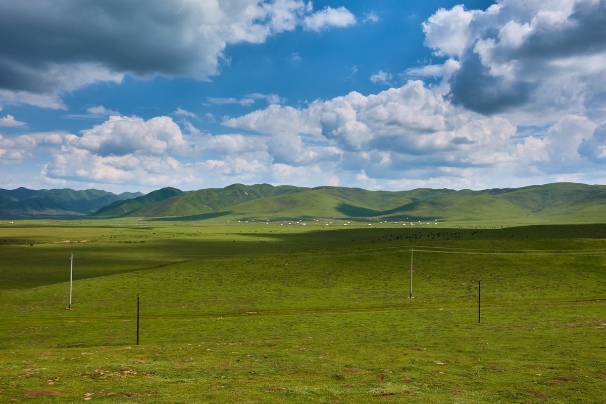 美丽的红原和桑科大草原