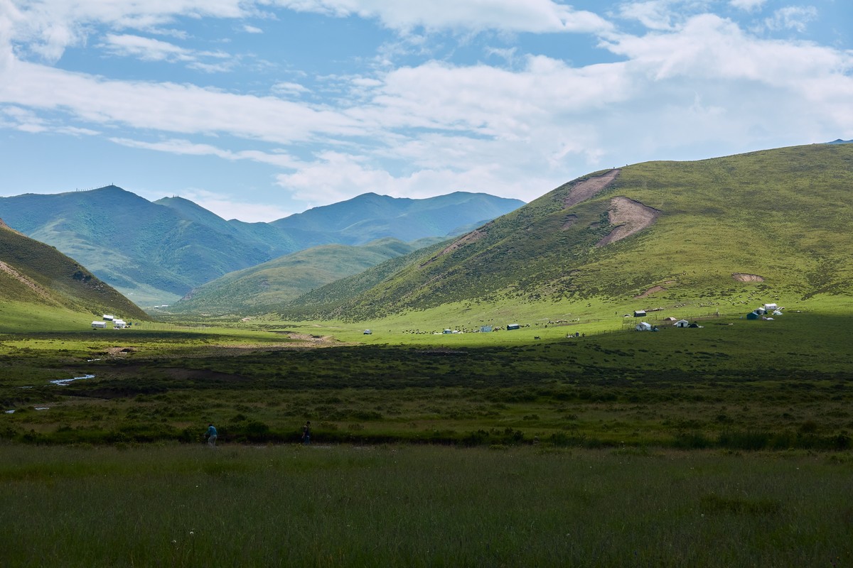 美丽的红原和桑科大草原