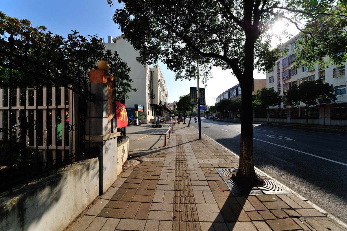 上海长兴岛随拍