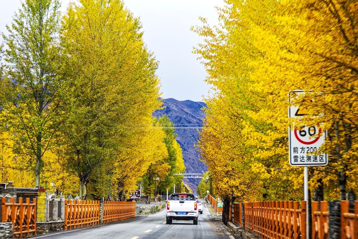 金秋川西--甲根坝【13】