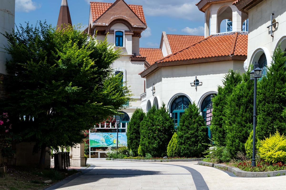 庐州印象（336）