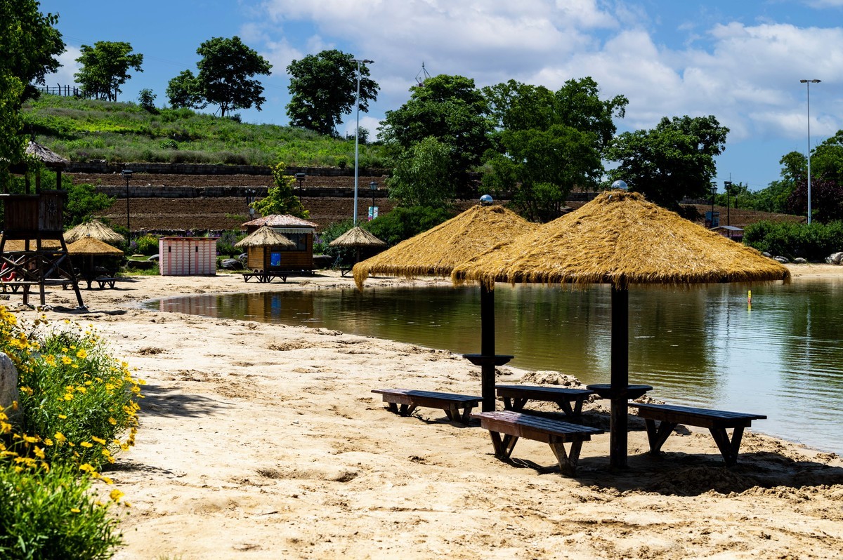 庐州印象（336）