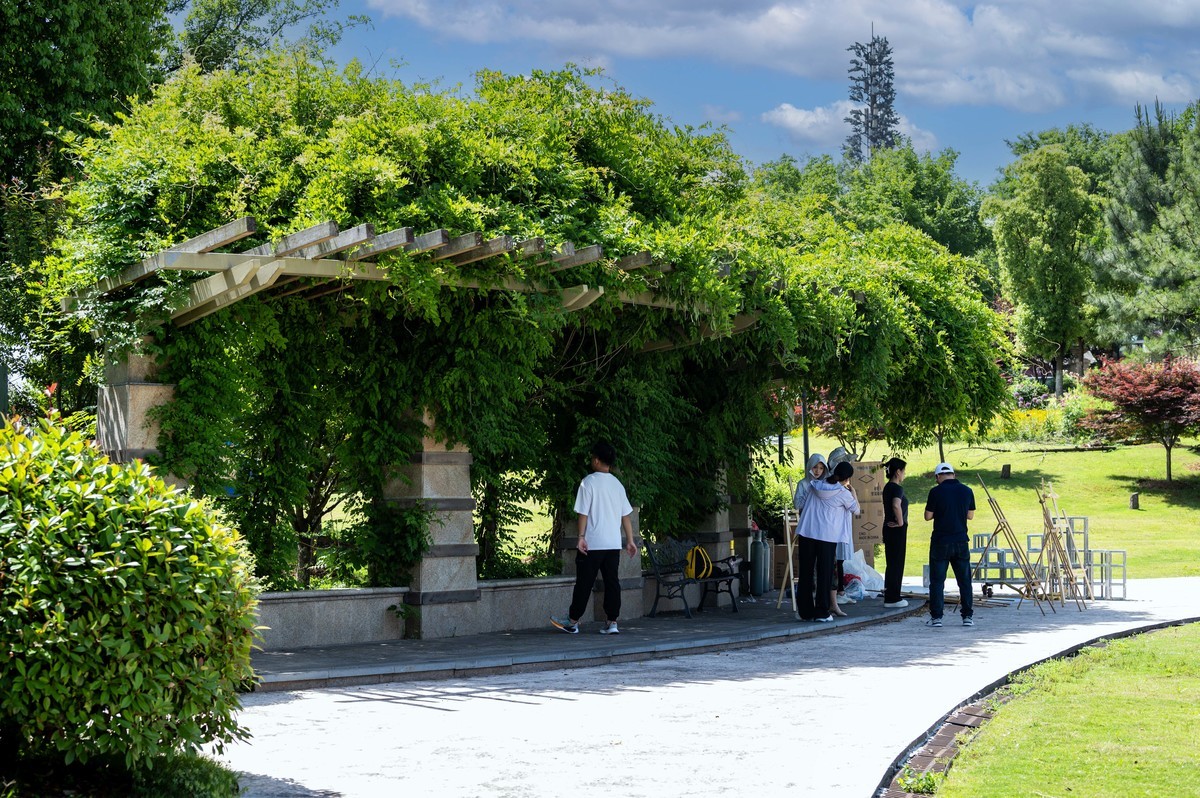 庐州印象（335）