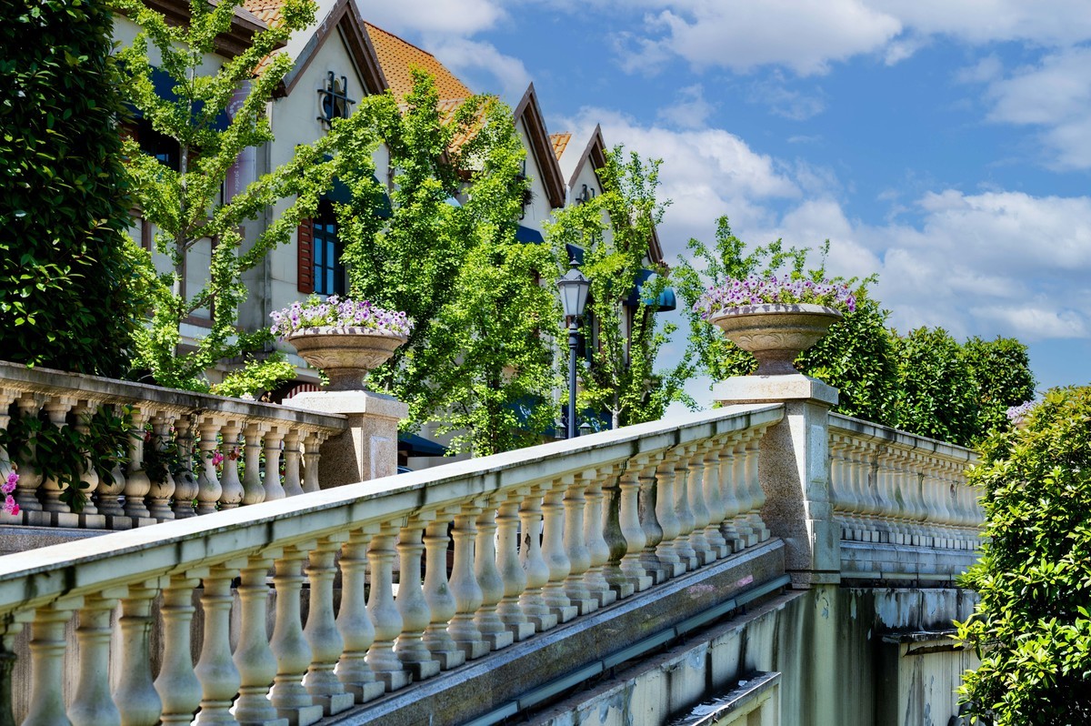 庐州印象（335）