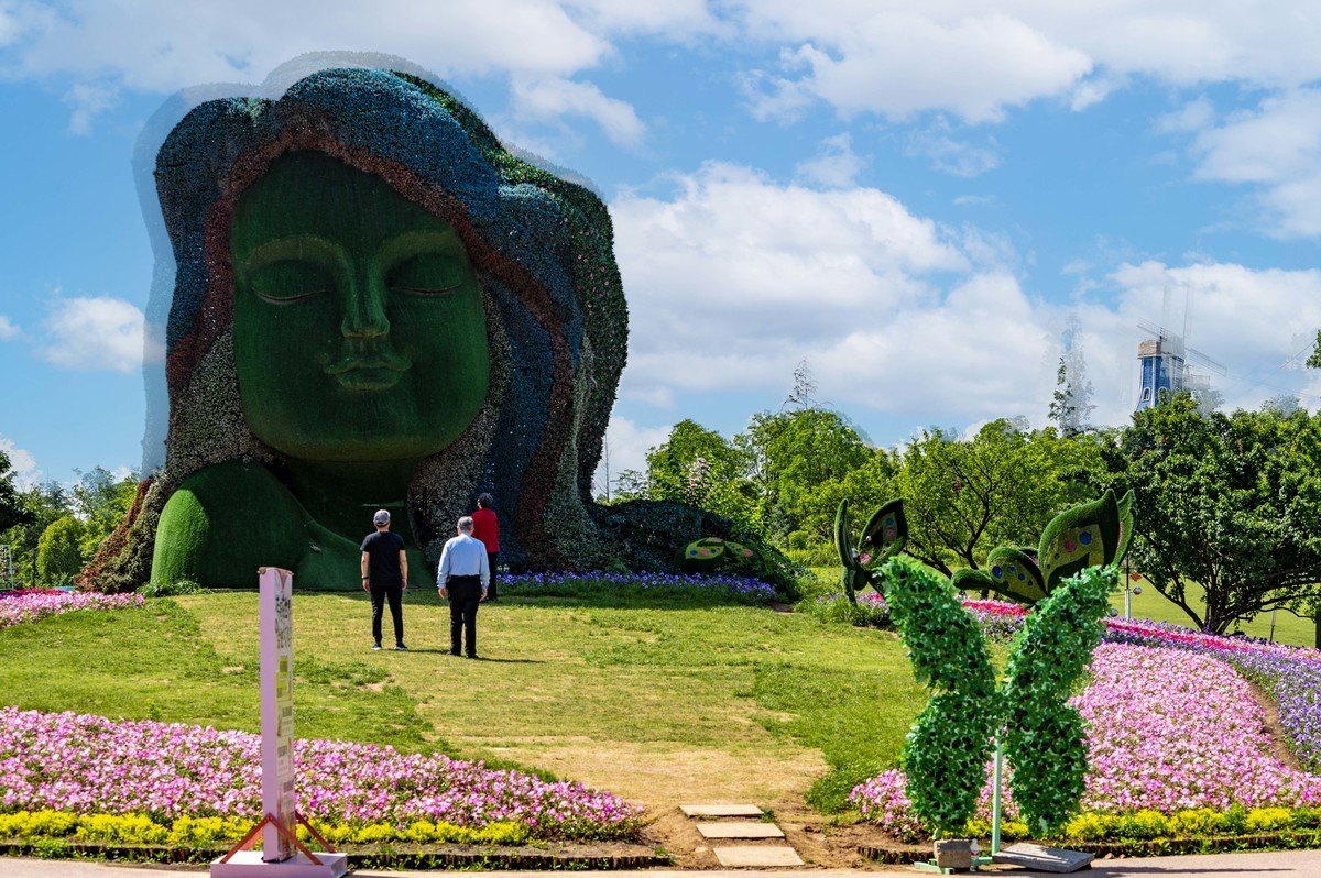 庐州印象（336）