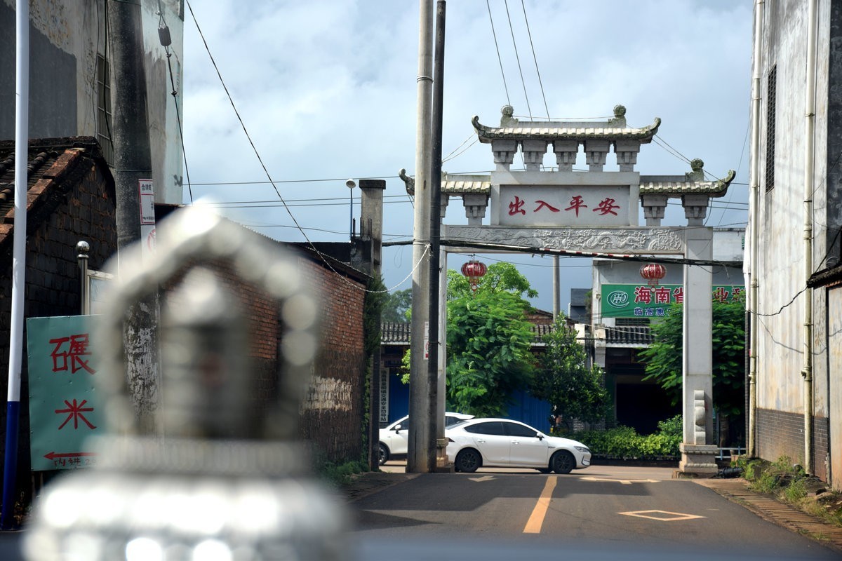 2024夏 海南环岛行（160）瀑布旁边的橡胶林