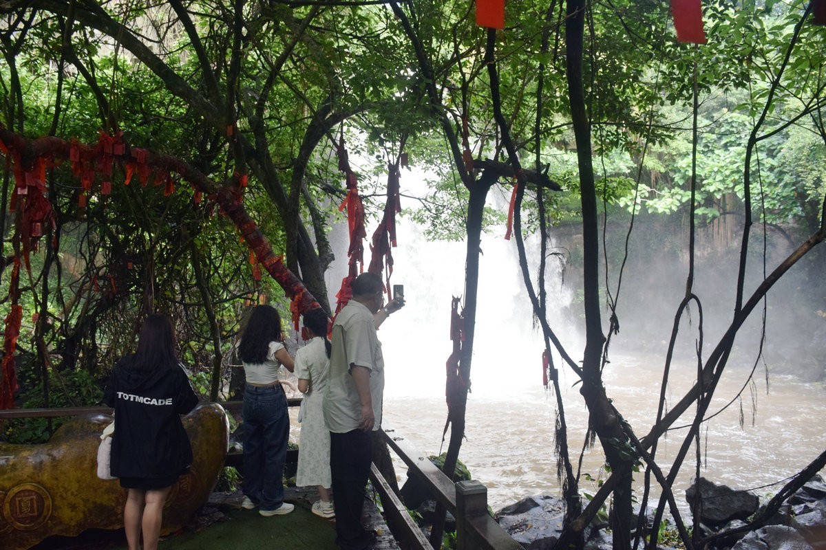 2024夏 海南环岛行（160）瀑布旁边的橡胶林