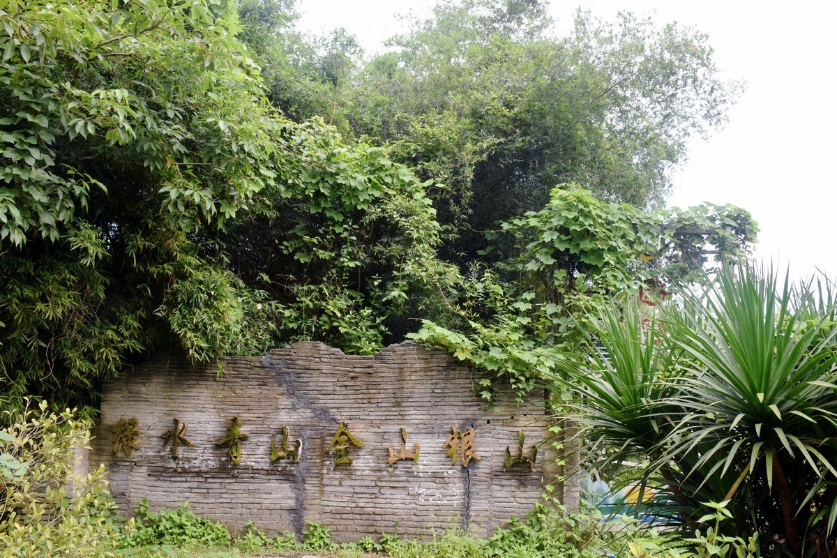 2024夏 海南环岛行（160）瀑布旁边的橡胶林