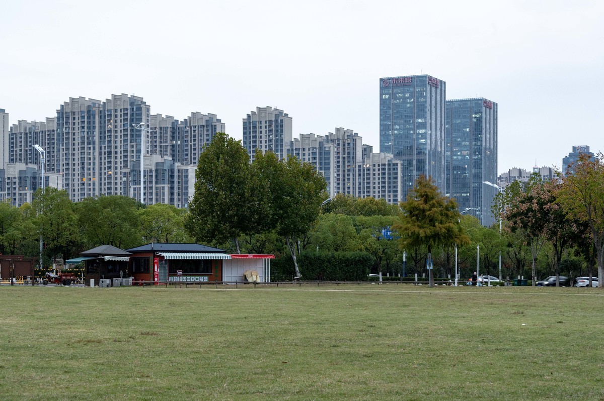 庐州印象（397）环湖北路岸上草原