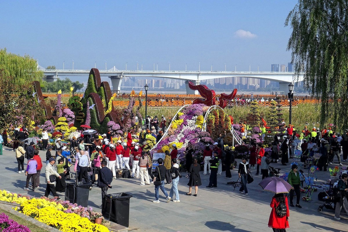 武汉江滩菊花展四（续完）