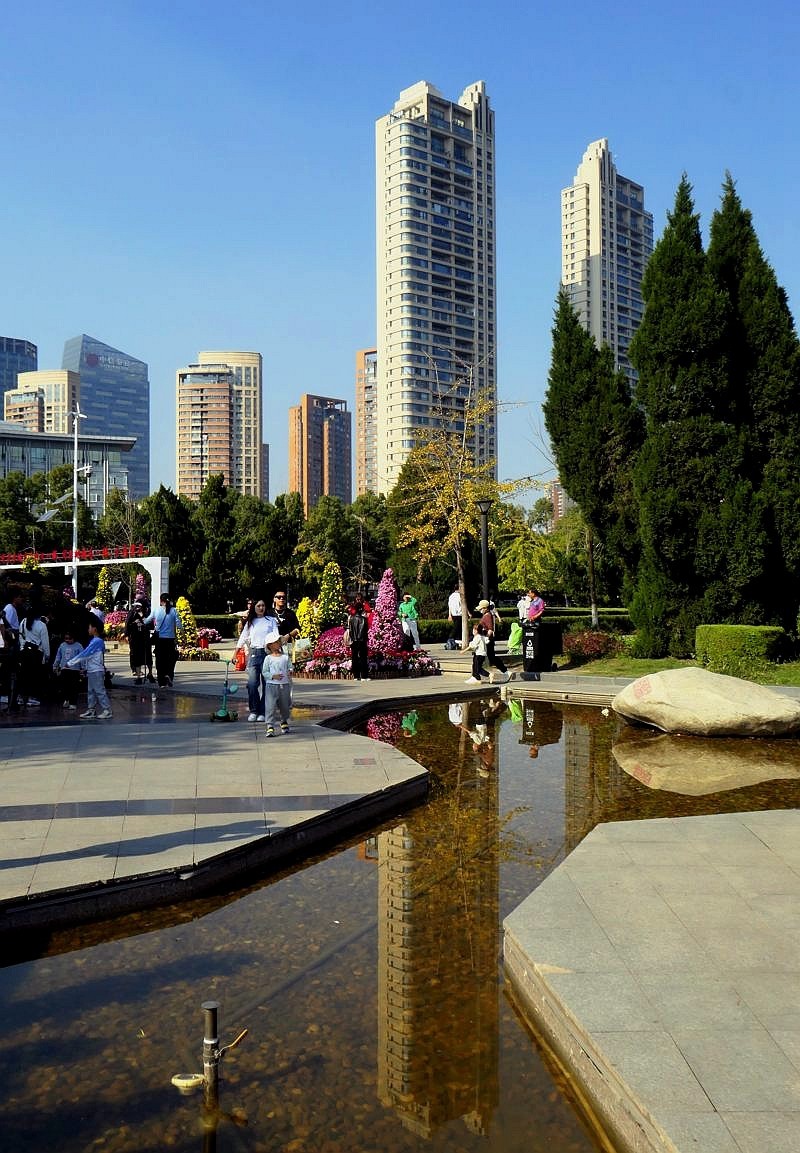 武汉江滩菊花展四（续完）