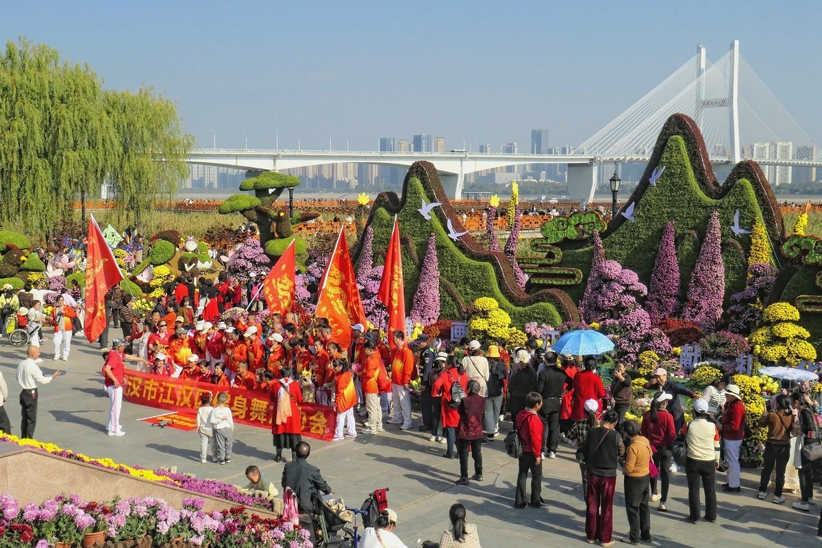 武汉江滩菊花展四（续完）