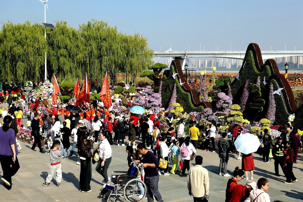 武汉江滩菊花展四（续完）