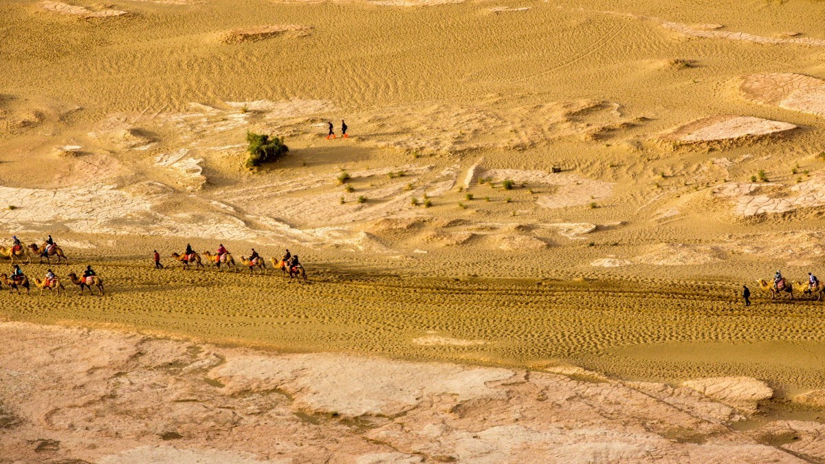 外出随拍（续208）.