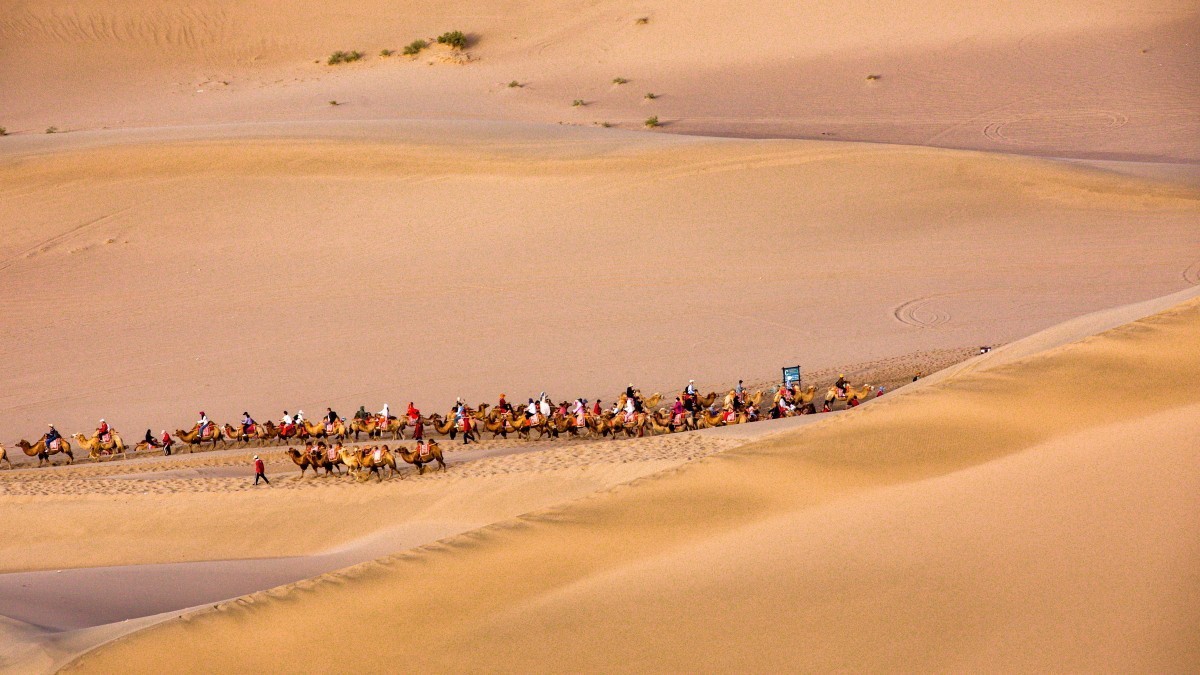 外出随拍（续208）.